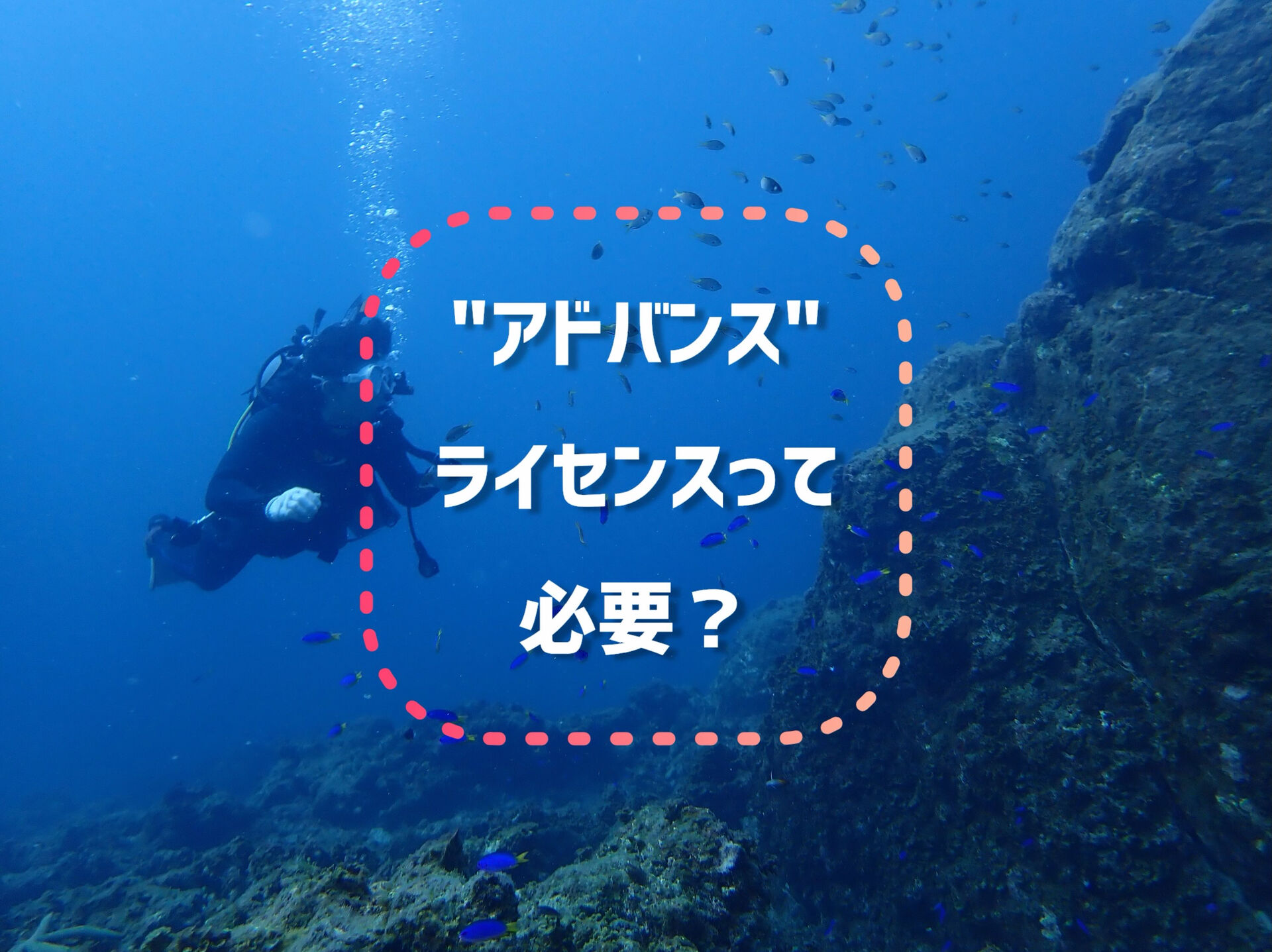 🤔「”アドバンス”ライセンスって必要？」