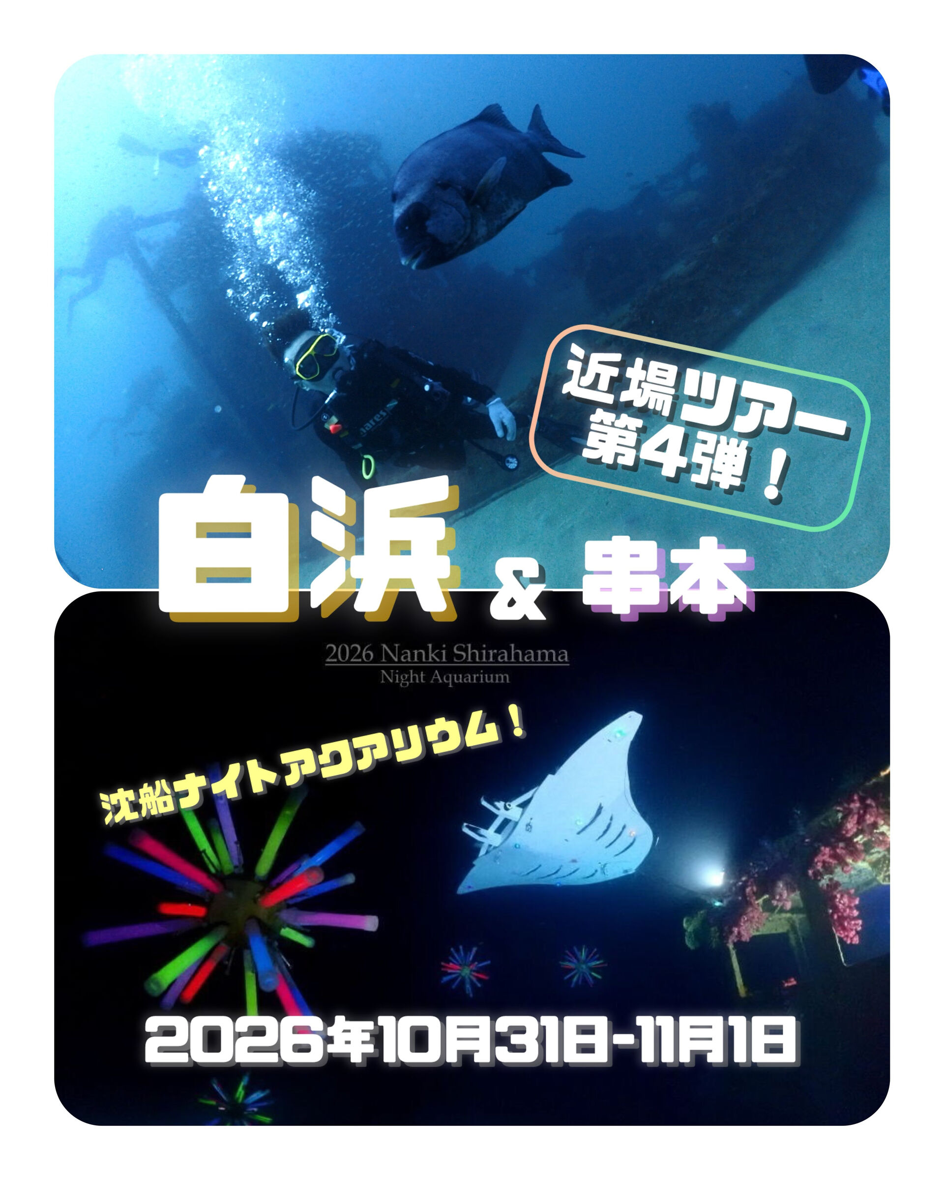 ダイビングプレイス大阪本町です🤿