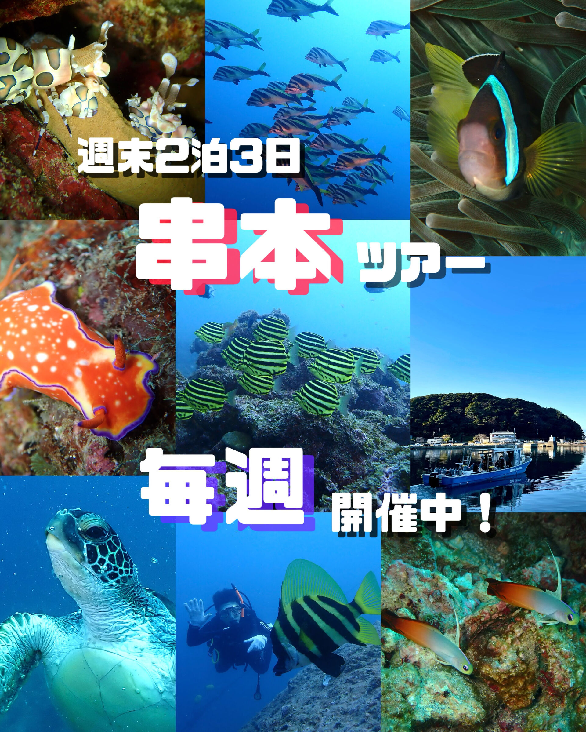 🤿ダイビングプレイス大阪本町は、