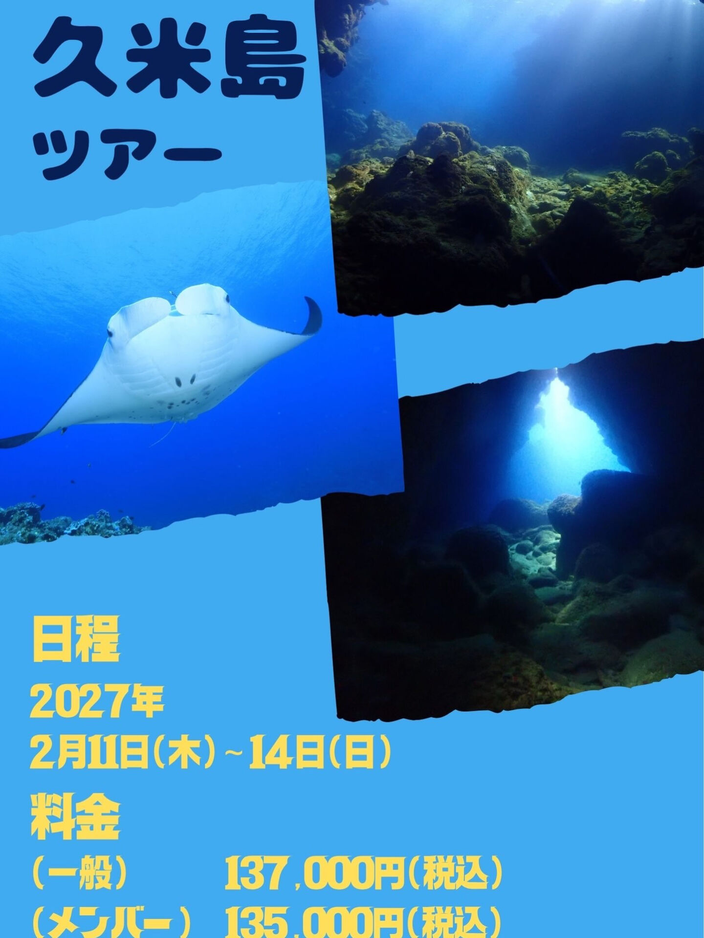 ダイビングといえば夏のイメージですが、冬も面白い❄️